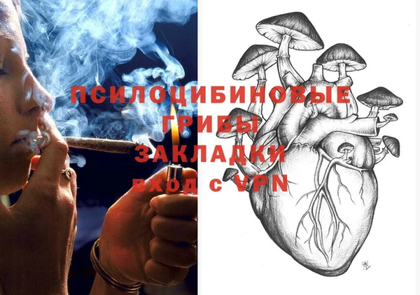 стафф Арсеньев