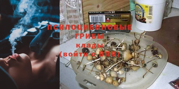 spice Армянск